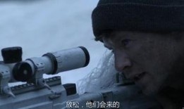 狙击职业杀手在线观看,网络追击背后的生死较量